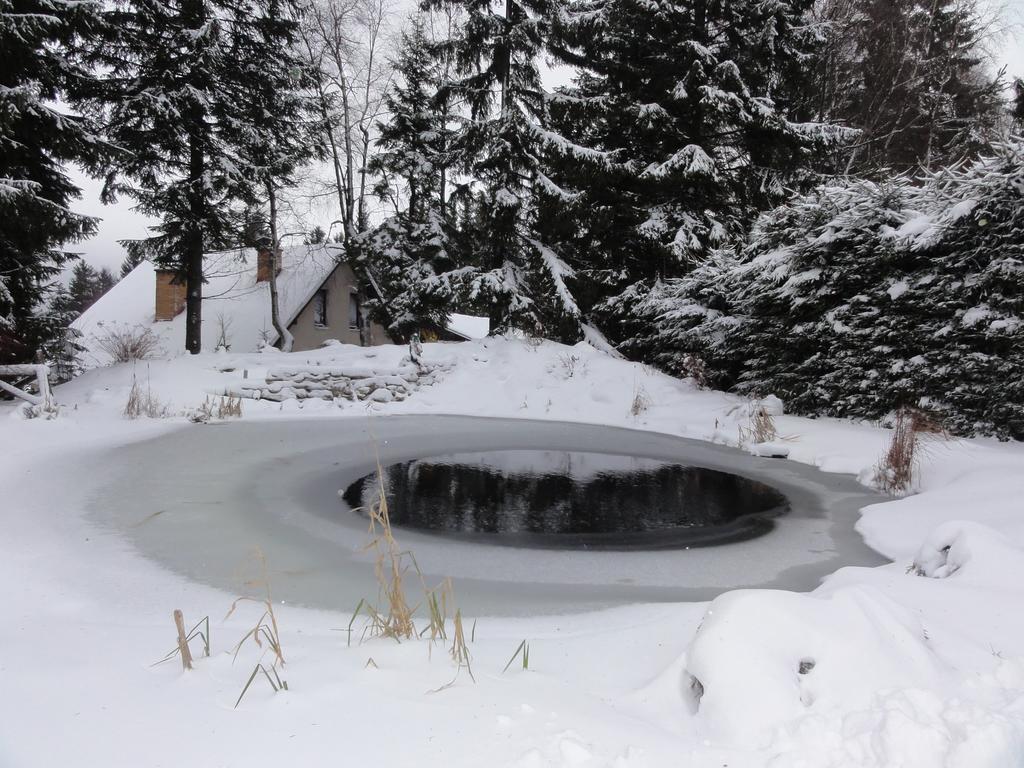 Hotel Pavla Vysocina ノヴェー・ムニェスト・ナ・モラヴィエ エクステリア 写真